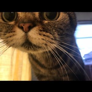 Meet your Posher, Brandy